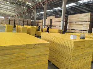Contreplaqué de coffrage jaune DokaPanel de 21mm 27mm 3m de longueur pour modèle d'échafaudage de chantier de coffrage - Product Image 4