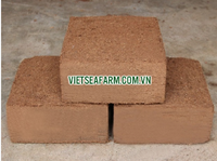 TOP PRODUIT EXPORTATION DU VIETNAM/ COCOPEAT BLOCK/HAUTE QUALITÉ ET PRIX CONCURRENTIEL POUR L'EXPORTATION
