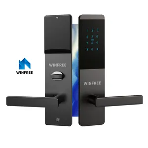 स्मार्ट सुरक्षित सुरक्षा इलेक्ट्रॉनिक चूल पासवर्ड बिना चाबी टीटी ताला एप्लिकेशन दरवाजा ताला ब्लूटूथ एल्यूमीनियम बादल वाईफ़ाई और ब्लूटूथ HC-P0101