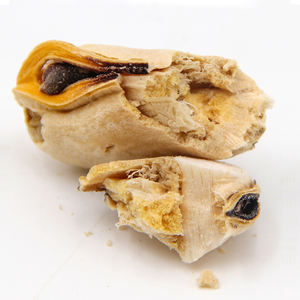 Venta al por mayor de golosinas y alimentos para mascotas de alta calidad 100% natural de alta proteína baja <span class=keywords><strong>en</strong></span> grasa lecitina rica FD mejillón - Product Image 2