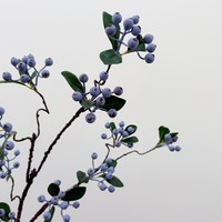 Kunstfruit, geluksfruit, kleine granaatappel, rode bessen, acaciabloemen, decoratie voor de eettafel in huis
