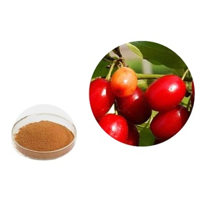 Migliore qualità fornitura di fabbrica alla rinfusa cornus officinalis estratto in polvere in vendita - Product Image 2
