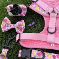 Accessoires pour animaux de compagnie, imprimé personnalisé, nœud papillon pour chien, chiot, nœud papillon coloré, Durable, mobile, chat, chien, nœud papillon pour collier de chien