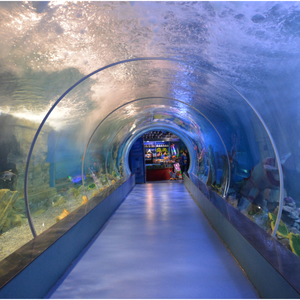 Nhà Sản Xuất Chất Lượng Cao Lớn Oceanarium Đại Dương Đường Hầm Lớn Fish Tank Cá Trong Nhà Cho Bán - Product Image 3