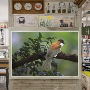 Cristallo ardesia digitale <span class=keywords><strong>pittura</strong></span> a olio galleria avvolta tela animale <span class=keywords><strong>pittura</strong></span> decorativa per la casa parete arte stile realista impermeabile - Product Image 3