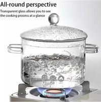 Marmite de cuisson en verre borosilicate pour four électrique en céramique, épaissie, à double anse, pour usage domestique, pour mijoter