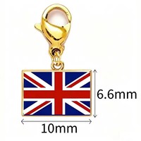 Bracelet à breloques drapeau national 10*66 mm en acier inoxydable plaqué or véritable, unisexe, tendance, cadeau fête des Mères, pour enregistrer vos souvenirs