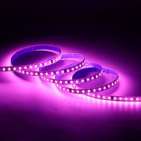 Tira de LED de Alto Voltaje AC 220V Personalizada, Sin Controlador, Impermeable IP44, Flexible, Tipo Neón, para Proyectos Arquitectónicos, Lámpara Elegante