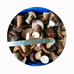 Vendo cultivar <span class=keywords><strong>setas</strong></span> congeladas <span class=keywords><strong>Boletus</strong></span> Edulis precio - Product Image 5