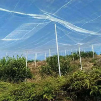 Filet anti-insectes jaune en PEHD + UV pour serre, protection contre les mouches et les insectes – Offre Spéciale