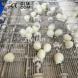 Macchina Multifunzionale Commerciale per Rivestimento di Cioccolato e Refrigerazione, per la Produzione di Frutta Secca, Snack Soffiati, Uva e Verdure - Product Image 4