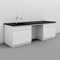 Banc de travail modulaire en acier personnalisable avec plan de travail résistant aux produits chimiques et armoires de rangement pour laboratoires modernes