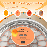 WONEGG Incubateur Commercial Économique pour 30 Œufs de Poule et d'Autruches à Vendre