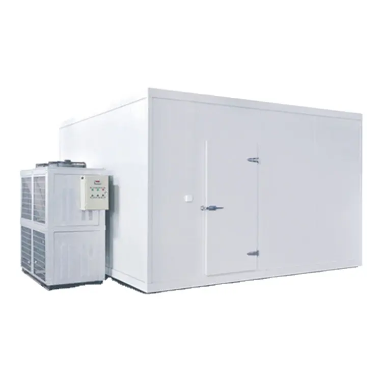 Sala de Refrigeración Industrial con lista de FM personalizada y sala de congelación, contenedor de congelador de ráfaga, unidad de refrigeración