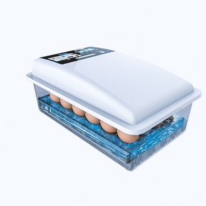 Tolcat 24 100 500 1000 Năng Lượng Mặt Trời Trứng Gà Máy Ấp Trứng Tự Động Máy Ấp Trứng Ở Uae - Product Image 2