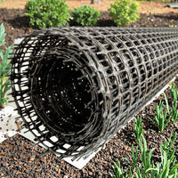 Géogrille en PP biaxiale anti-corrosion en vrac, géogrille plastique durable pour la stabilisation des routes
