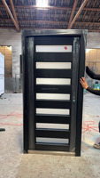 Porte d'entrée moderne en aluminium avec panneaux de verre personnalisés 3, 4, 5 ou 6 vitres, double battant, avec panneaux latéraux thermiques