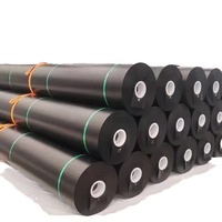 Geomembrana de HDPE Anti-UV en Rollo, Anchos Estándar para una Instalación Eficiente en Piscifactorías y Proyectos de Estanques Grandes