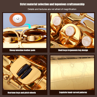 Starway Custom High Quality Alto Saxophone E Flat Brass Body Wind Musical Instruments for Professional Band