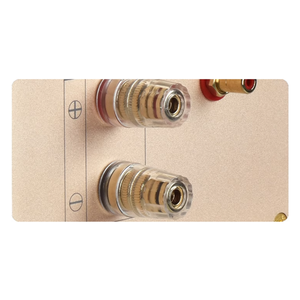 Reproduction de l'amplificateur suisse Dartzeel FM ACO <span class=keywords><strong>STICS</strong></span> FM300 150W 2.0 HIFI FM300A amplificateur de puissance Audio - Product Image 3