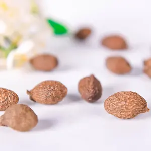 Le thé fonctionnel soulage <span class=keywords><strong>la</strong></span> douleur <span class=keywords><strong>de</strong></span> <span class=keywords><strong>la</strong></span> <span class=keywords><strong>gorge</strong></span> séchée Pangdahai Sterculia Lychnophora - Product Image 5