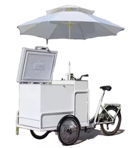 Carrito Eléctrico para Venta de Comida Callejera, Helados y Bebidas, Máquina Expendedora de Café, con Cámara Frigorífica de 200L - Product Image 6