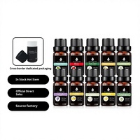 Huile Essentielle Pure en Petite Bouteille pour Sauna Domestique, Tente de Sauna, Bricolage, Bougie d'Aromathérapie, Soins de la Peau et Massage
