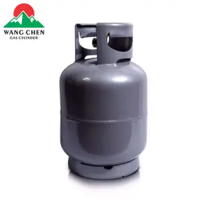 Haute qualité en gros Portable 5kg H295 acier GPL bouteilles de gaz réservoir pour l'Afrique du Sud