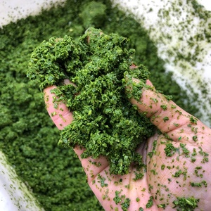 Machine à Broyer les Feuilles <span class=keywords><strong>de</strong></span> Manioc Fraîches à Haute Efficacité, Machine à Pâte <span class=keywords><strong>de</strong></span> Feuilles <span class=keywords><strong>de</strong></span> Manioc - Product Image 2