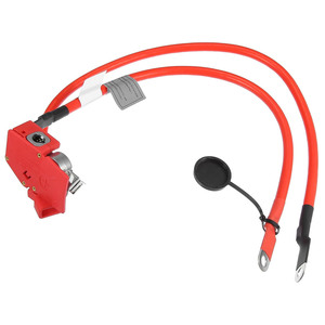 61129253111 Cable del polo positivo de la batería para BMW Serie 1 y 2 2011-2021 - Product Image 4