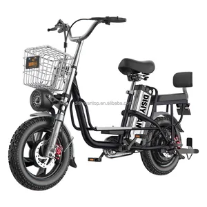 Monster 16 Inch Fat Tire 800w Motor Adult Eu Stock Electric Bike 48V 60V 20Ah 30Ah Fast City Electric Bicycle For Sales DISIYUAN