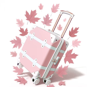 Ensembles de bagages vintage pour PC, jolies valises de cabine légères et durables, valises de voyage pour adolescents - Product Image 1