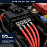 7116-3250 Connecteurs Femelles à Sertir pour Automobiles Domestiques, Plaqués Étain, en Alliage de Cuivre, 60A 12V IP1, Vente Directe Usine