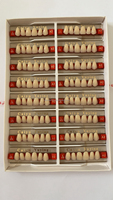 [Aifan Dental] Prothèses dentaires fausses dents acrylique deux couches trois couches quatre couches dents acryliques