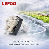 Pompe péristaltique LEFOO haute stabilité OEM 24V 280ml/min pour l'agriculture hydroponique