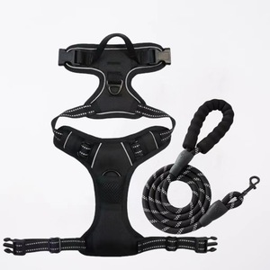 Ensemble laisse et gilet réfléchissant en nylon écologique pour chien, réglable, robuste, avec fermeture à bouton-pression, rayé et tendance - Product Image 1