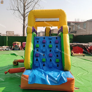 Kommerzielle aufblasbare Hüpfburg mit Rutsche und Pool, Hüpfburg für Kinder, kommerzielles PVC-Material, 2 Jahre Garantie - Product Image 3