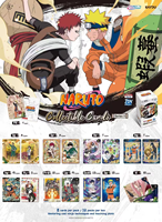 Cartes à collectionner Kayou Naru Smriti - Chapitre Jin - Série anglaise 2 - Coffret cadeau - Carte promotionnelle - Fabriqué en Chine - Pour les 14 ans et plus - Vente en gros/en détail