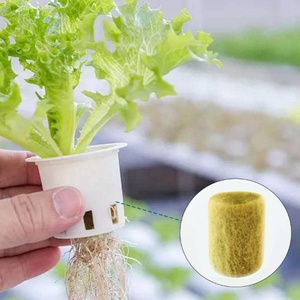 Upuper nông nghiệp cà chua phát triển vòng hình dạng cây giống Đá len phích cắm - Product Image 3