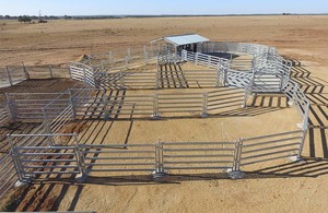 Nhà máy sản xuất mạ kẽm gia súc Đè Bẹp chăn nuôi sân gia súc sân gia súc sân bút - Product Image 2