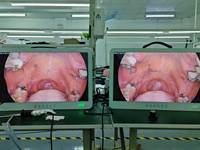 Cámara de Endoscopia Médica Integrada Portátil de 24 Pulgadas Full HD 1080p para Veterinaria, Otorrinolaringología/Laparoscopia/Urología