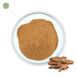 Factory Supply Sennoside Food Grade Protect Men's Health Cistanche Deserticola Plant Extract Cistanche Powder