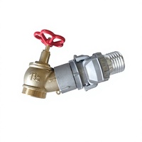 Robinet de raccordement en laiton PN16 pour hydrant d'incendie, pour système d'alimentation en eau incendie, DN45