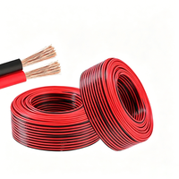 2-adriges 0,3mm²-2,5mm² RVB Flachkabel PVC-isoliert Verzinntes Kupfer LED-Beleuchtungskabel