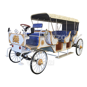 Voiture électrique royale multi-passagers blanche et bleue avec emblème doré pour les excursions panoramiques des châteaux - Product Image 2