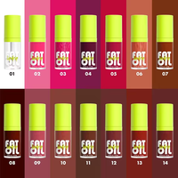 Lot de 4 Huiles à Lèvres Teintées 4,8ml, Hautement Pigmentées, Maquillage Liquide Rose, Gloss Soin Brillant Repulpant et Hydratant