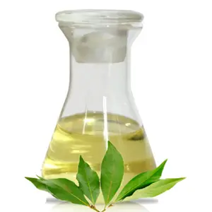 Großhandel reines Lorbeer öl Lorbeer blatt ätherisches Öl für Aroma Parfümerie Aroma therapie ätherisches Öl