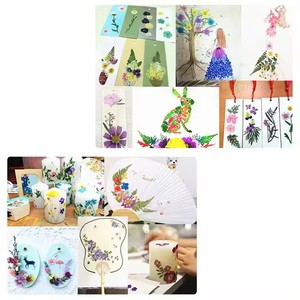 Wholesale Children <strong>Flower</strong> <strong>Press</strong> <strong>Kit</strong> Toys DIY Kids Preparing of Plant Specimens Wooden Natural <strong>Flower</strong> Art Set Kids Learning Toys - Product Image 3