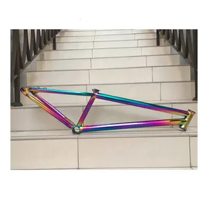 Fashion Customized Bicycle Steel 26 "Full Color Rainbow Bicycle Frame