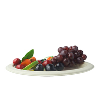 Assiettes ovales jetables et compostables en bagasse de canne à sucre (lot de 8) pour fêtes et déjeuners